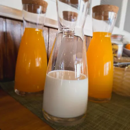 ゲストハウス Al Moniz Água de Pena